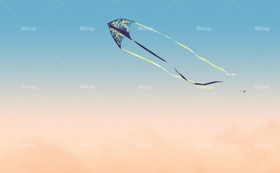 Kite fest in the sky