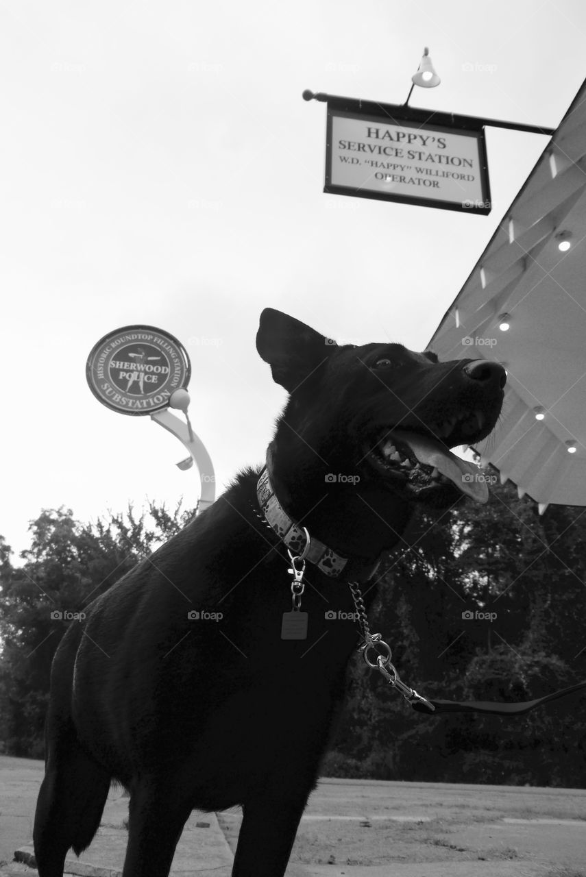 Leesa at Roundtop Gas Station . Historical Roundtop Filling Station in Sherwood, Arkansas