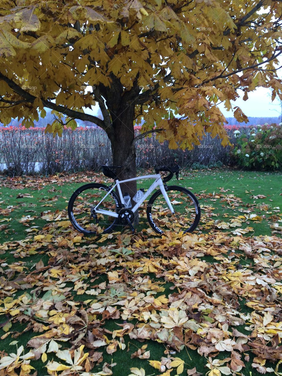 Autumn ride