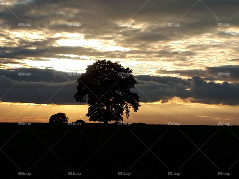 Dusk In The Countryside