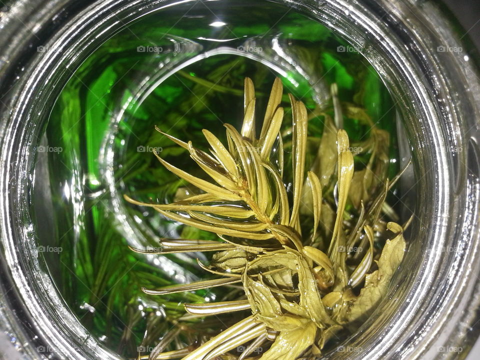 jam from coniferous branches