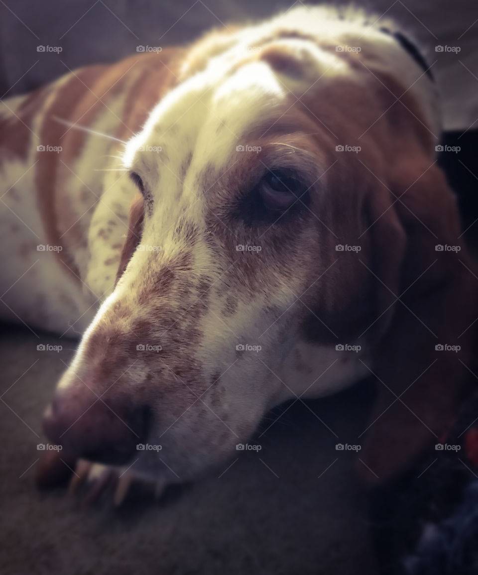 Is this the correct pose