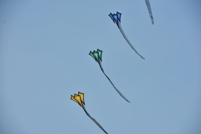 Stringing multiple kites together.