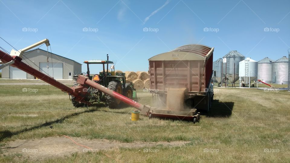 Agriculture, Farm, Vehicle, No Person, Outdoors