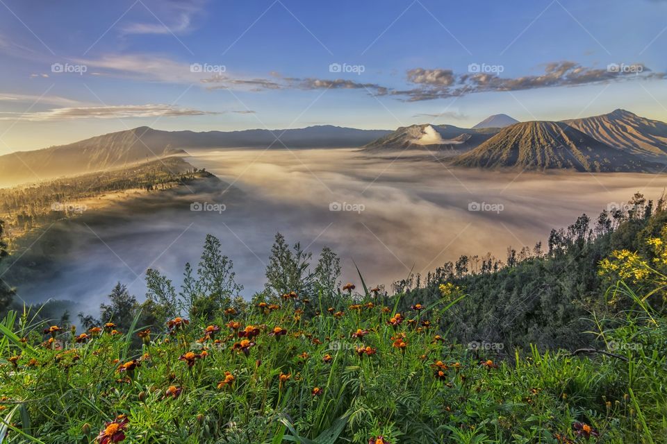 Beautiful Morning in Bromo Mountain