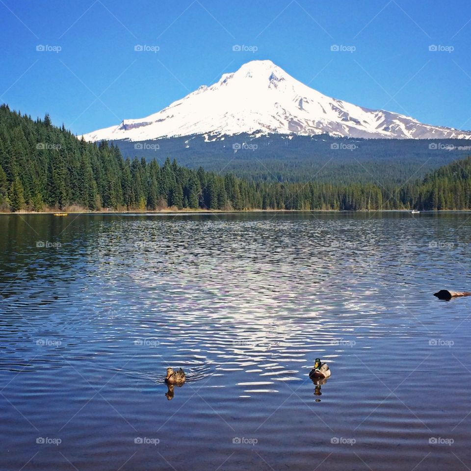 Trillium Lake - Mt Hood