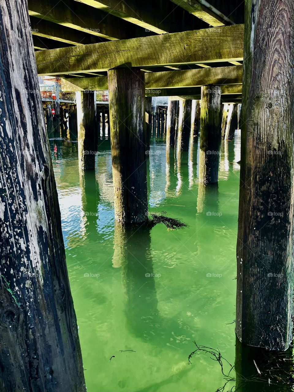 “Underworld”.  The cold green waters and shadowy pilings under a wharf create an unusual feel.