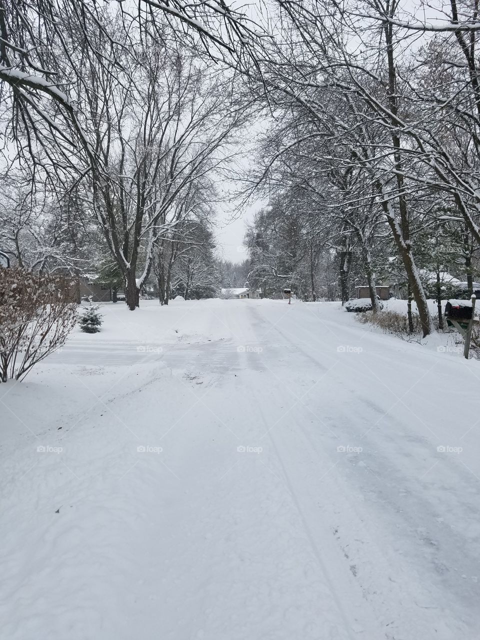 The Snowy Road