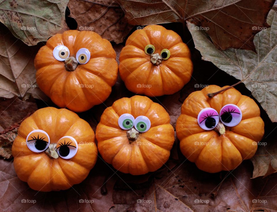 Pumpkins everywhere