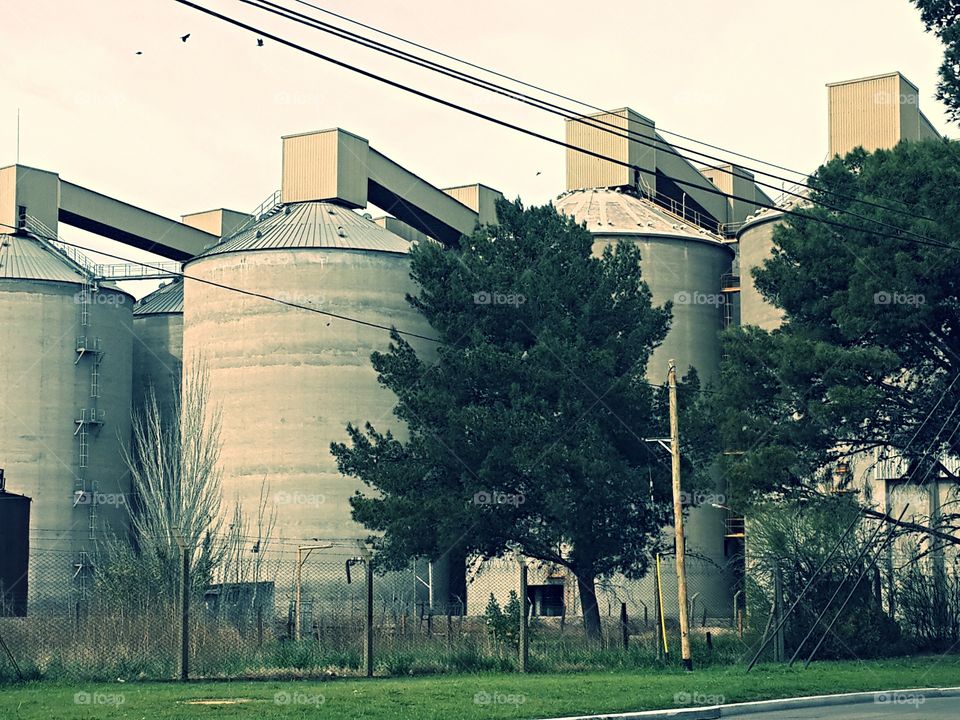 Grain Silos