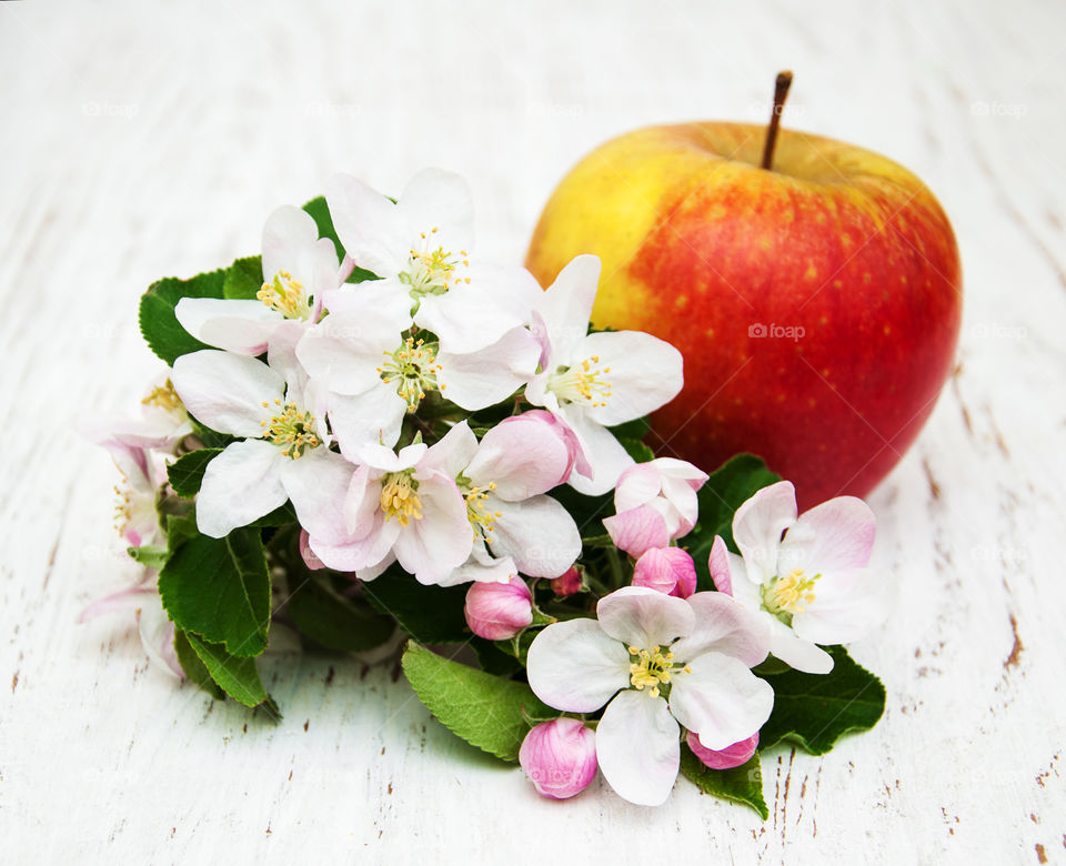 Apple and spring blossom 