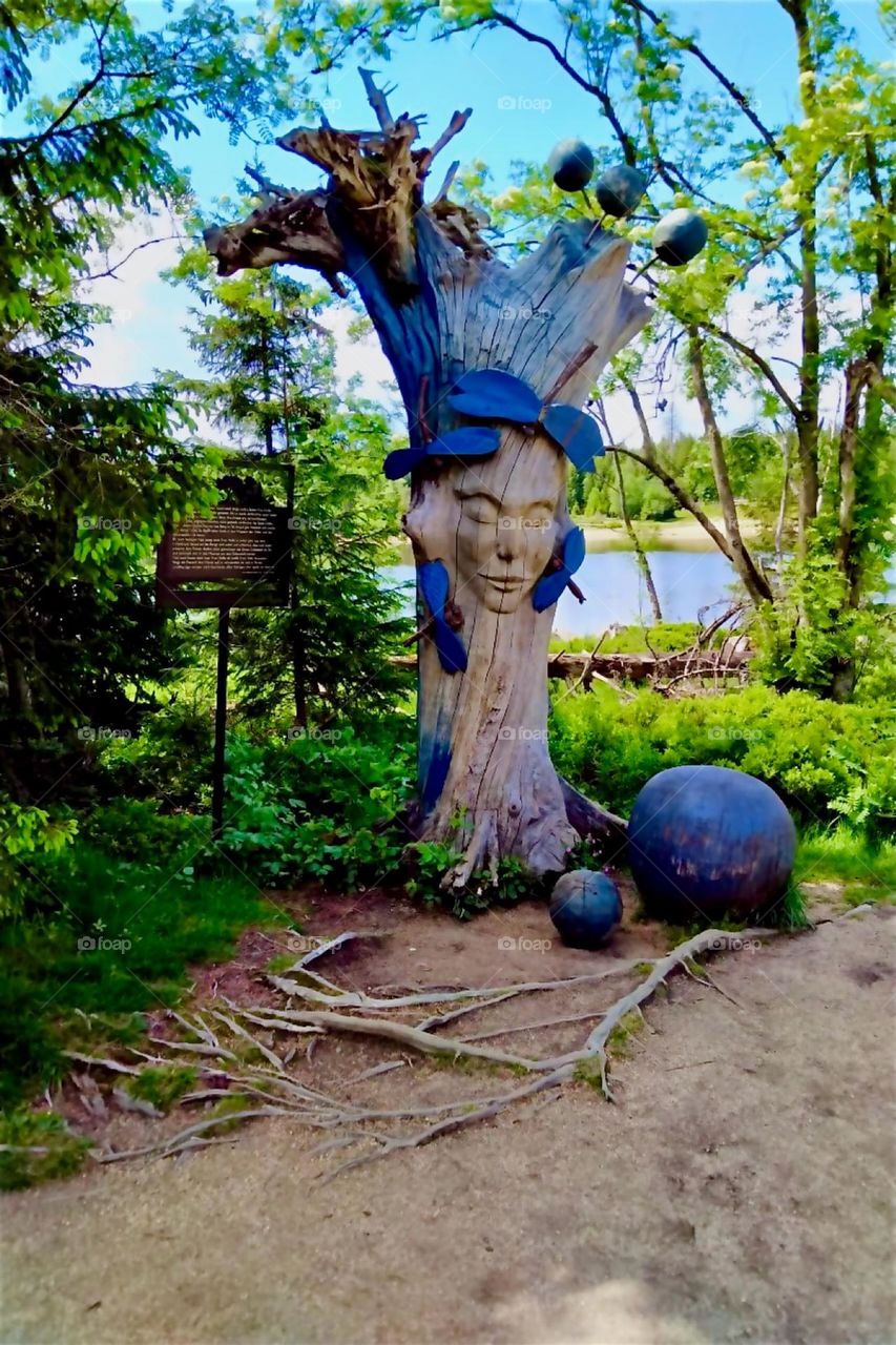 A sign next to a woman’s head carved into a tree tells the saga of “Frau Holle”, a spirit and “Odin”, a human, her beloved. The tears they cry create all the wetlands in the area. The river “Oder” is named after him. 2024. Hypnotic Productions