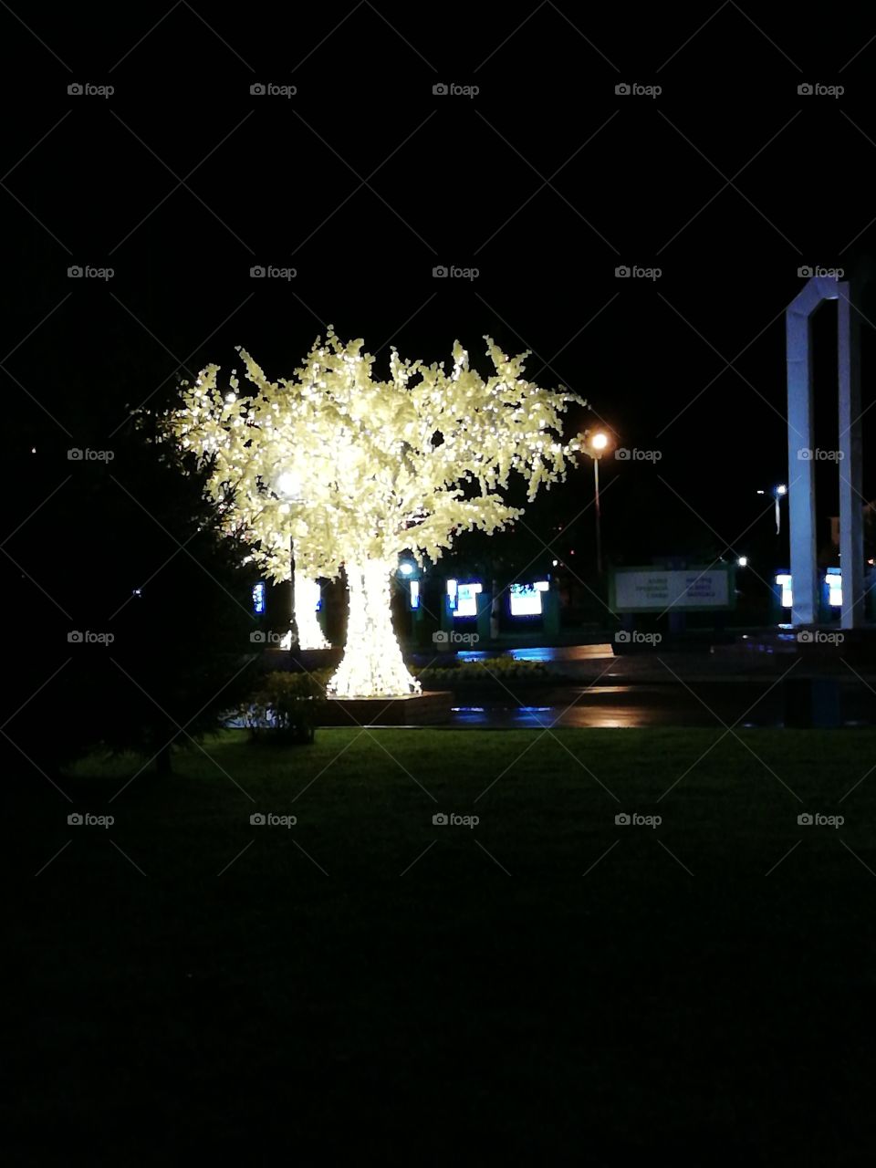 Дерево золотое