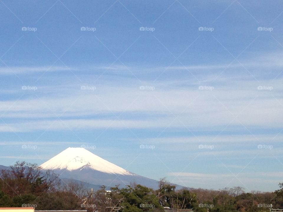 My. Fuji