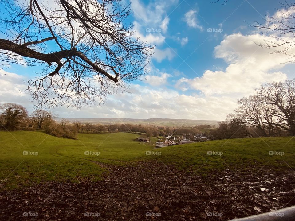 Devon Countryside 