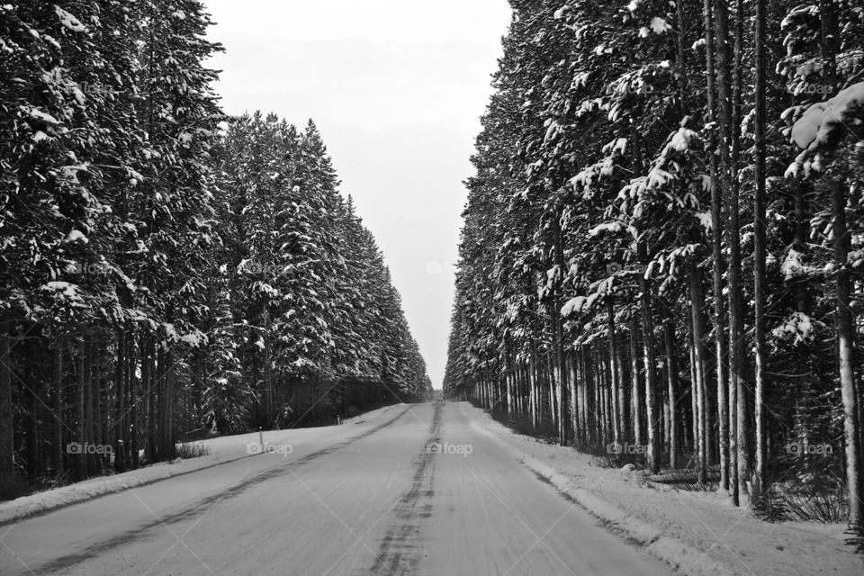 Enjoying a Sunday afternoon drive on a winter’s day