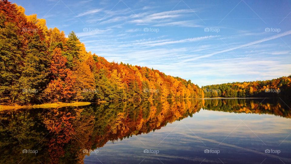 Reflection of autumn trees in lake