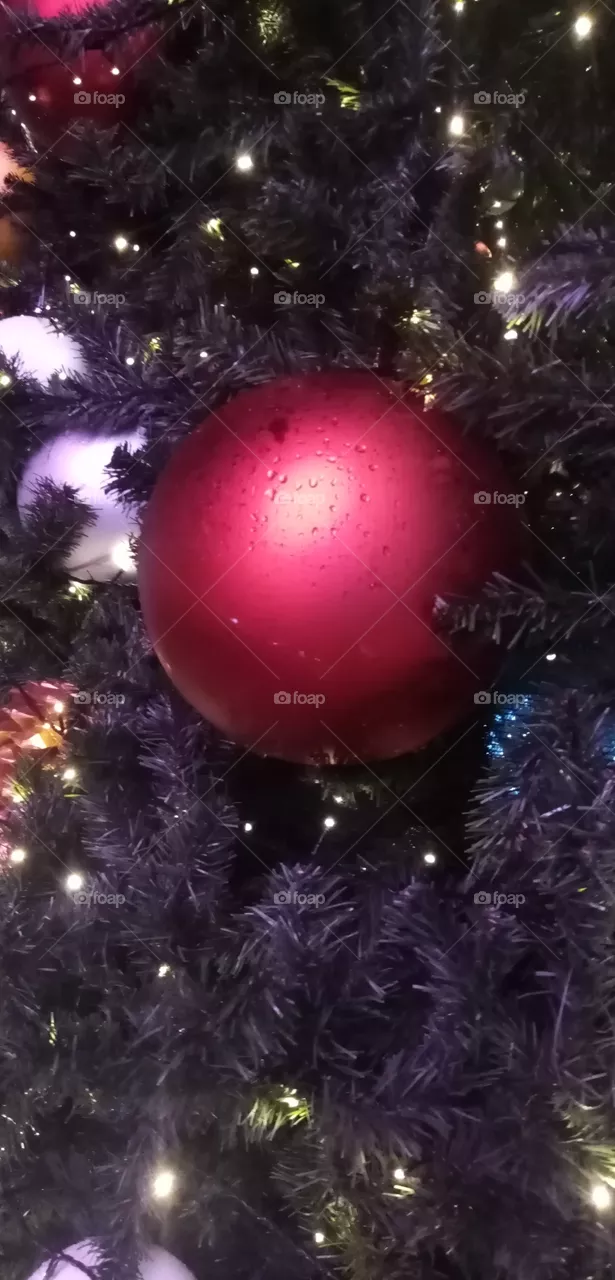 Tannenbaum