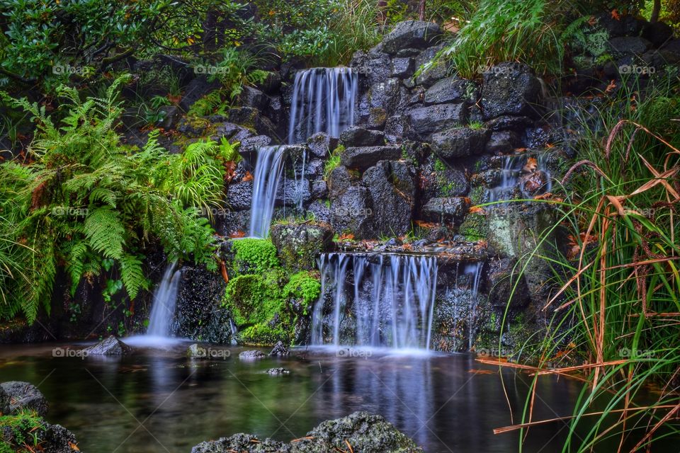 Scenic view of waterfall