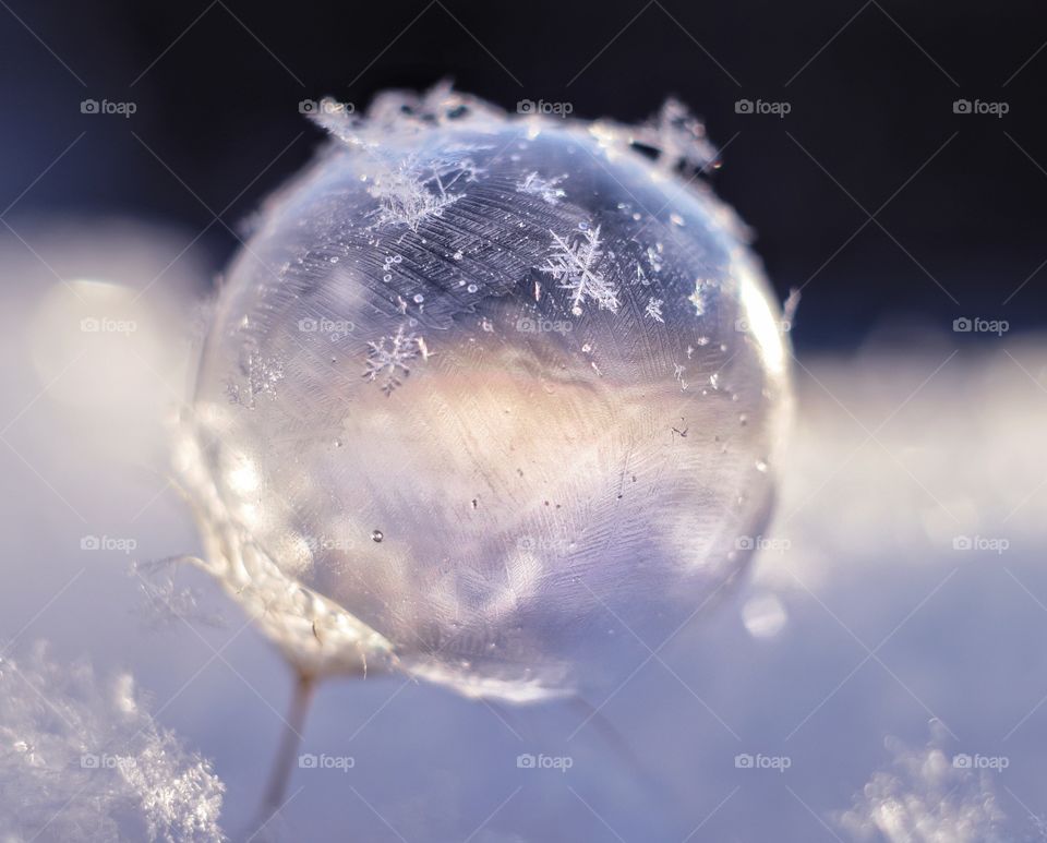 frozen soap bubble