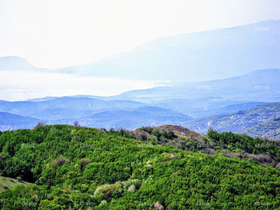 mountain in the fog