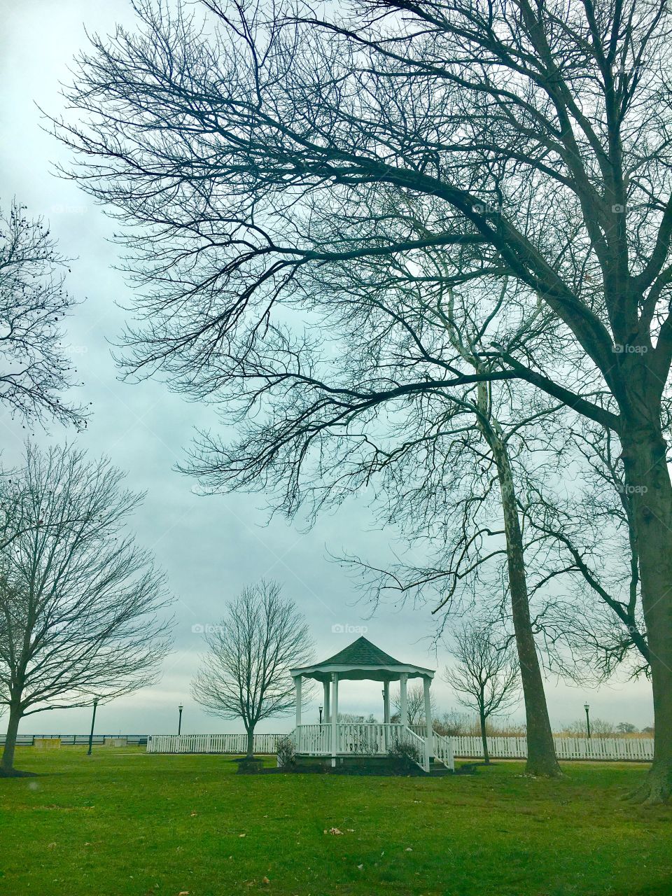 Delaware City Waterfront. Bare, winter trees. Beautiful, green grass.