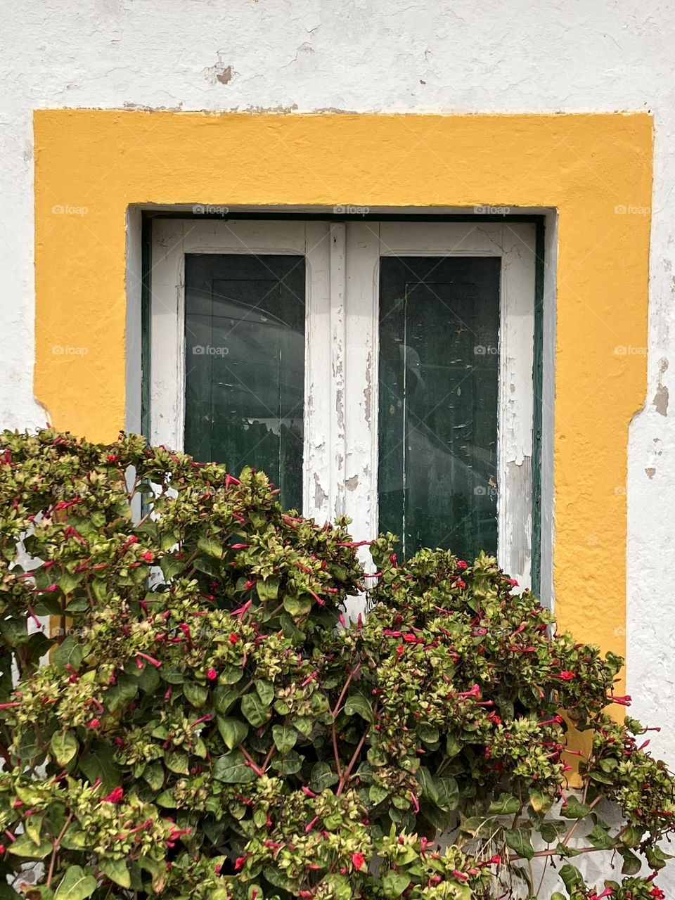 Window with yellow border