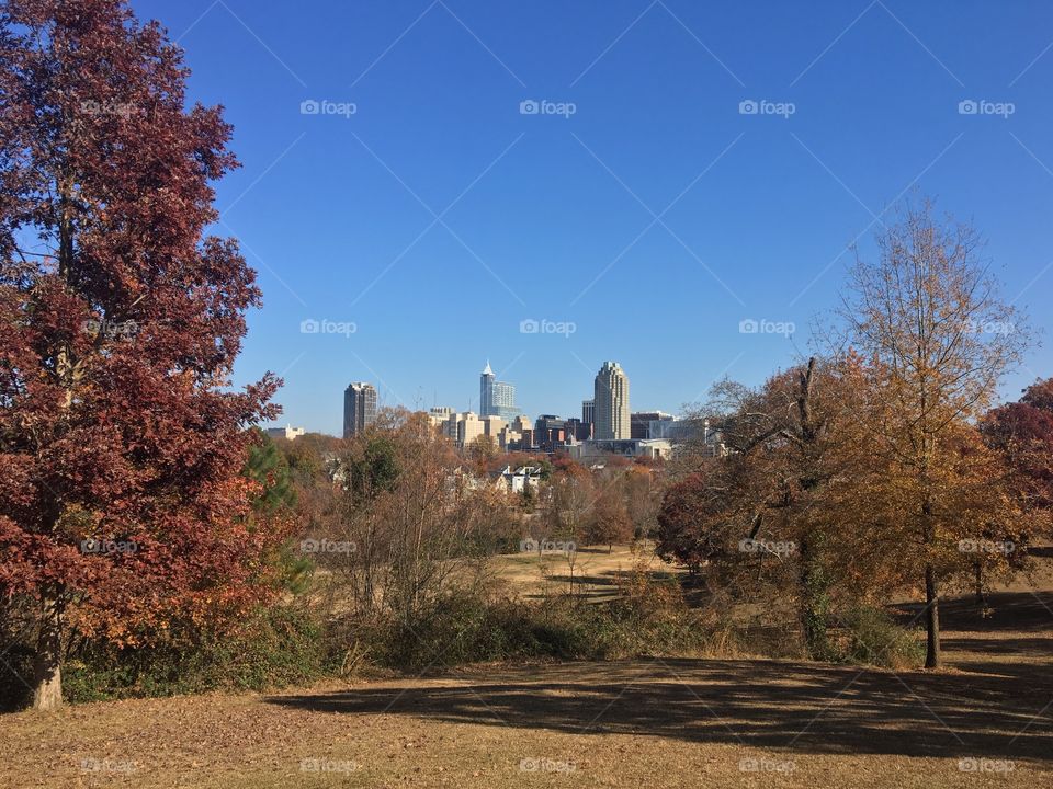 Raleigh on a crisp fall day. 