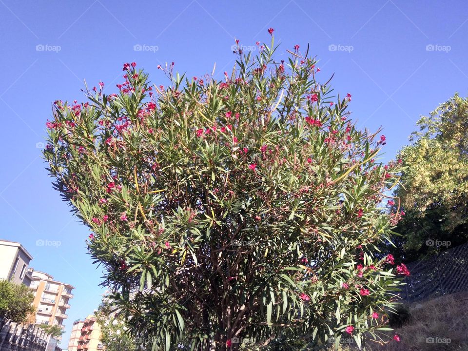 Editors' Choice - Photo of the Week