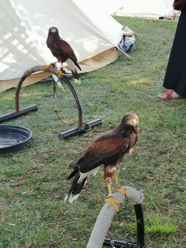 Middle Ages