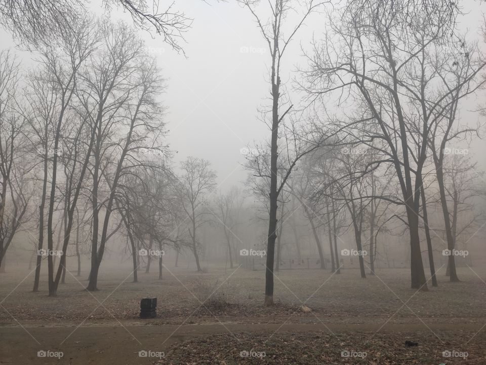 Belgrade Serbia Cukarica Banovo brdo park in fog winter scenery