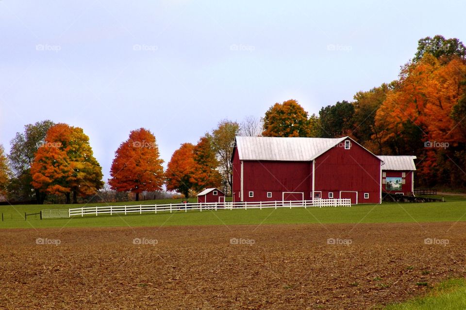 Red Barn with White Fence