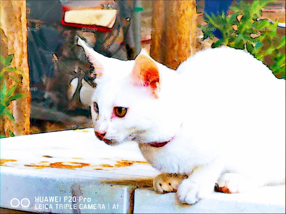 Trying to get some rest