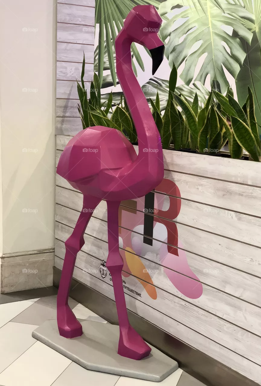 Flamingo 