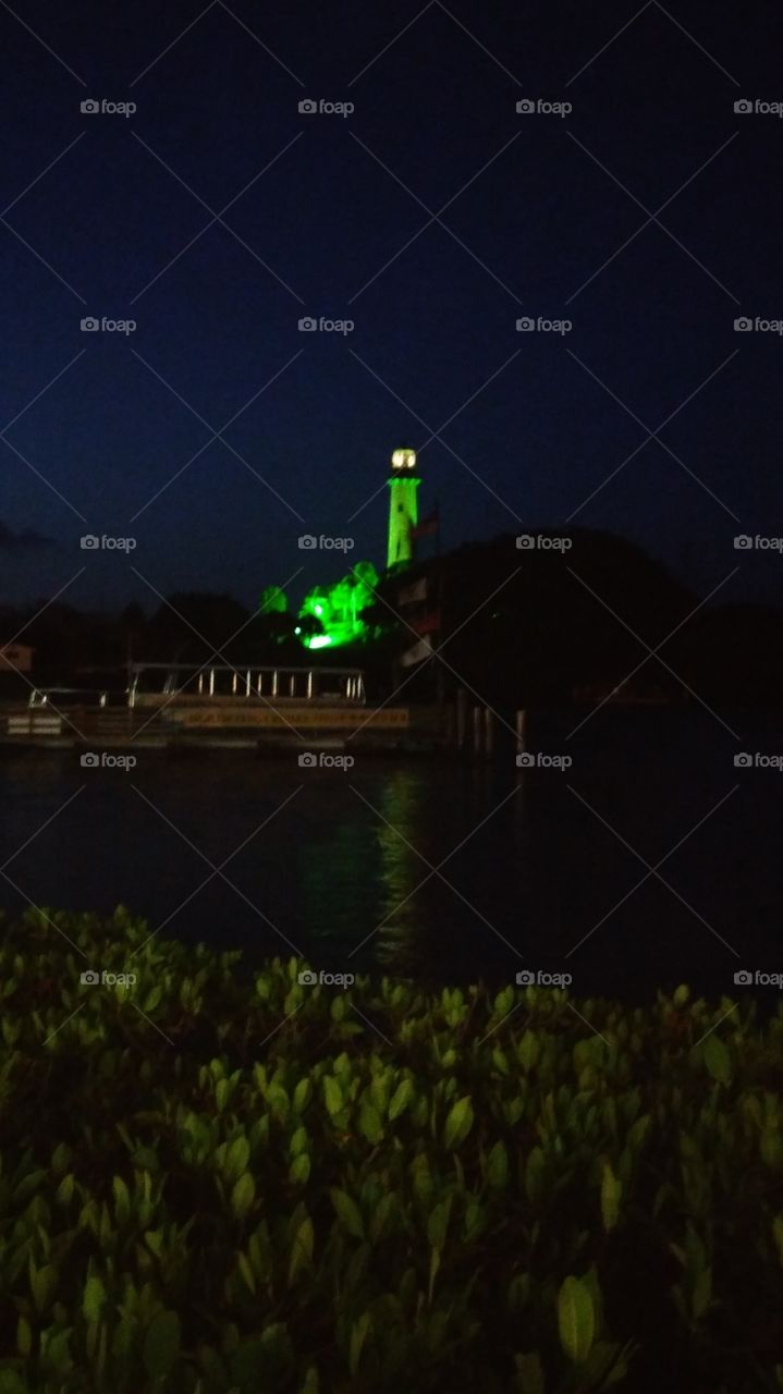 Lighthouse Goes Green for Muscular Dystrophy!
