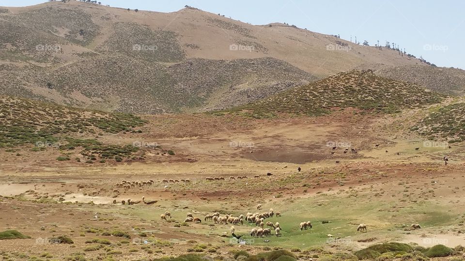 Berber landscape