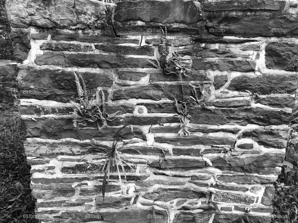 Stone, Old, Pattern, Rough, Texture