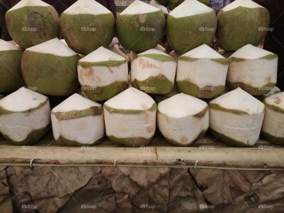 coconut
fruit