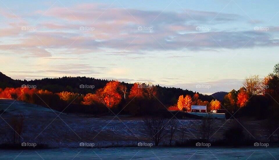 Early morning, frosty morning