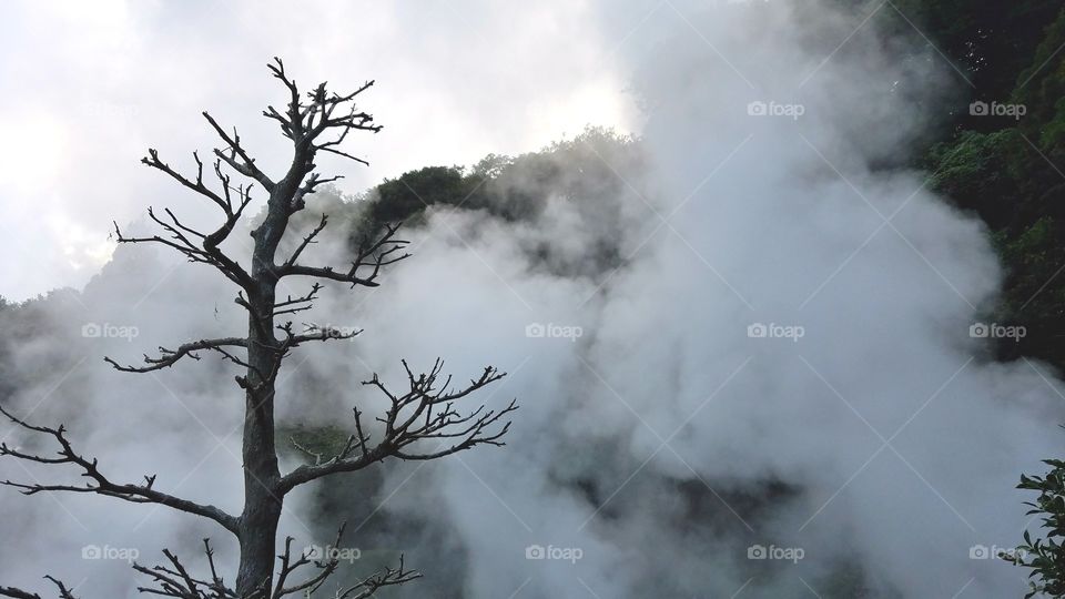 Boiling hot springs