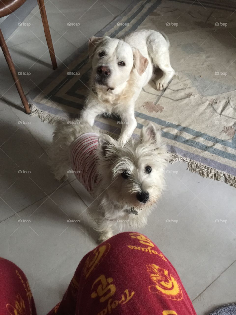 We can go now. We can go now...