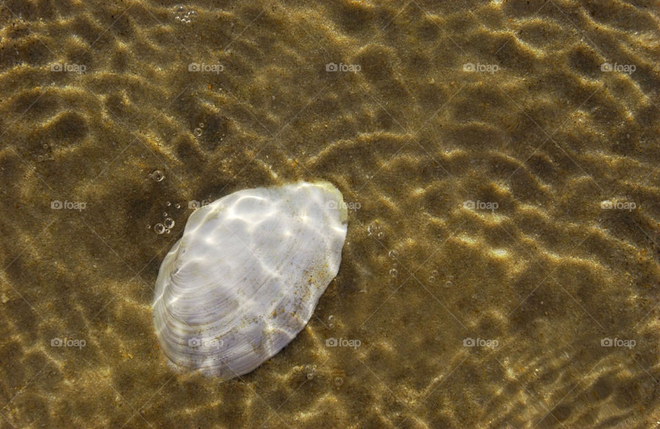 ocean pattern sun water by malcee