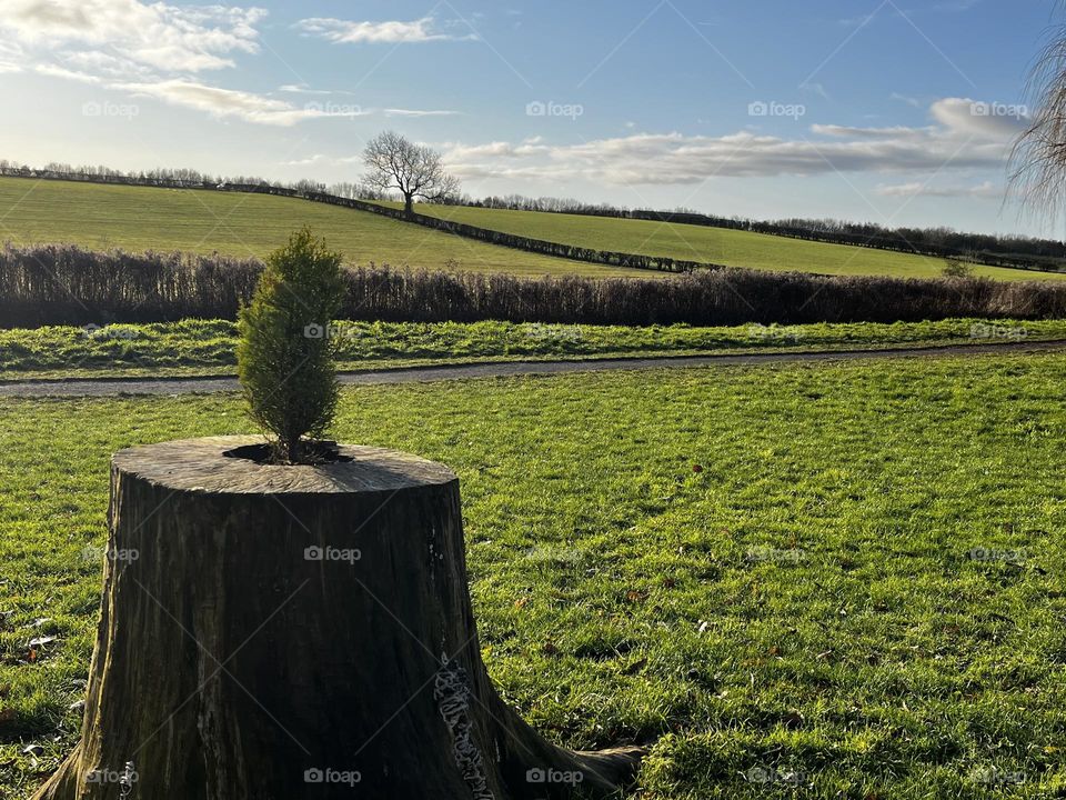 A beautiful view of the countryside 