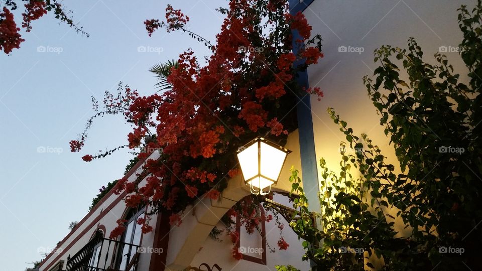 Puerto de Morgan,  Morgan , puerto,  de , gran canaria,  canaries,  Spain,  West coast, coastal, beautiful