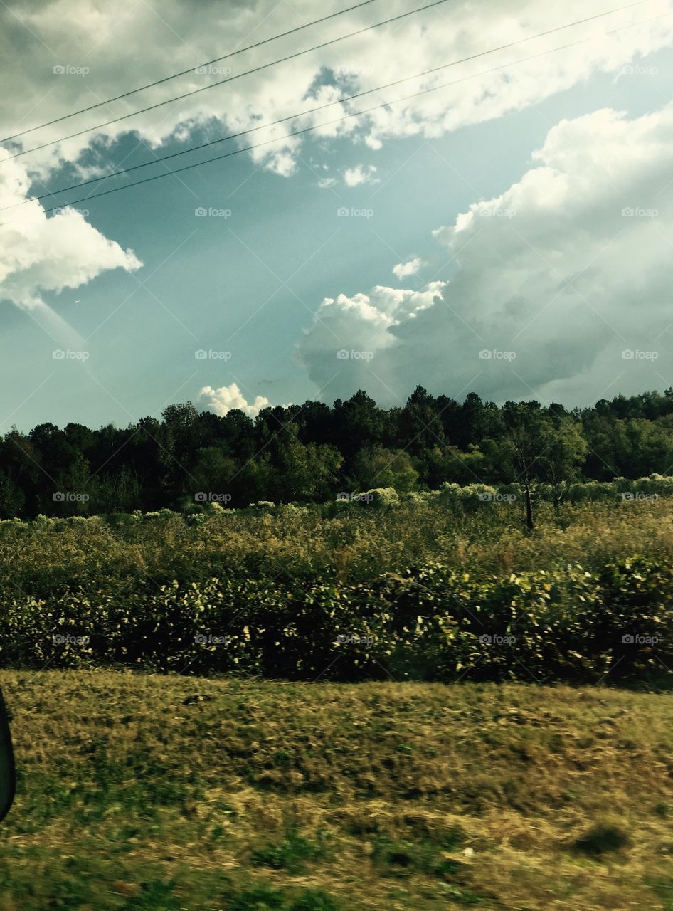 A pretty country field with sky and clouds. 