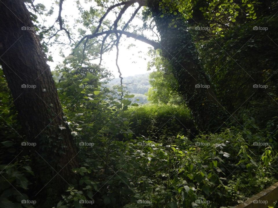 united kingdom building dunster dunster castle by The_Picture_man
