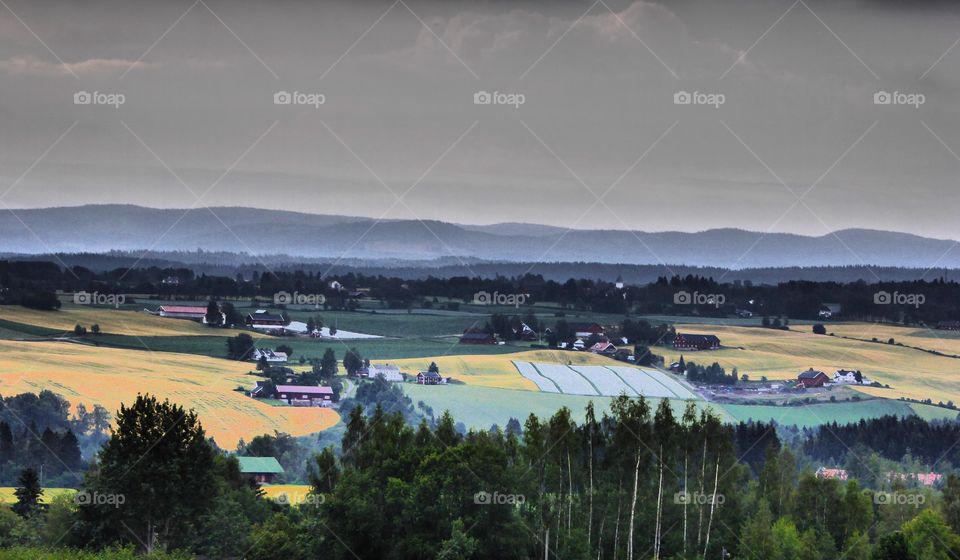 Norwegian farmland