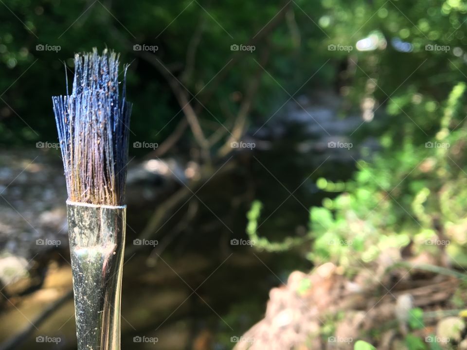 Paint brush by stream in sun