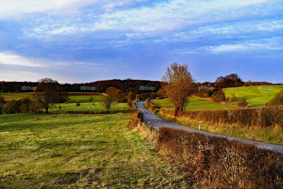 France, Road, fields