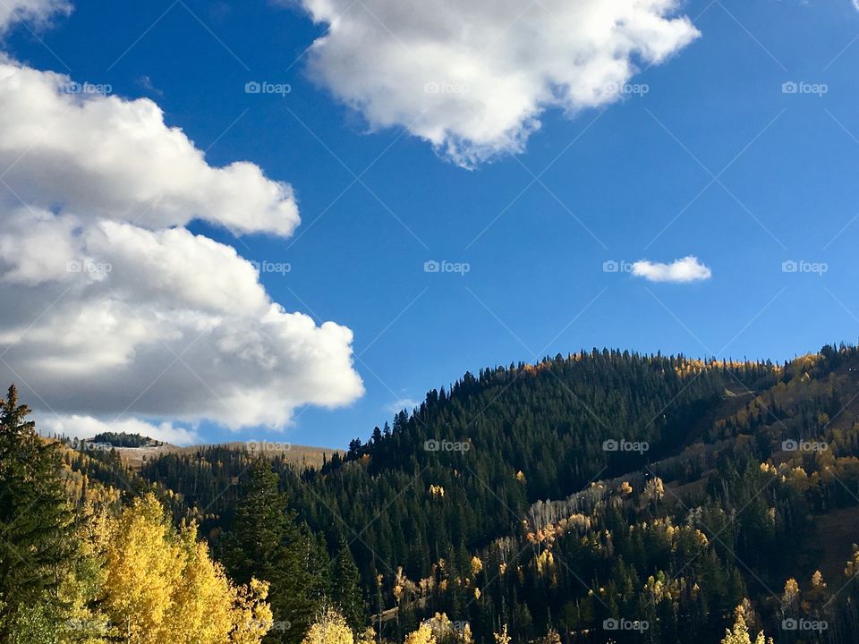 Autumn in the mountains 